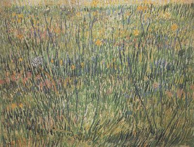 Vincent Van Gogh Pasture in Bloom (nn04)